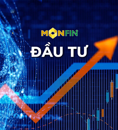 dau tu monfin